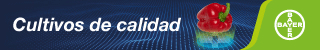 Publicidad