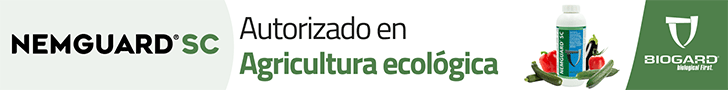 Publicidad