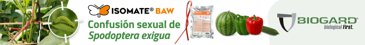 Publicidad