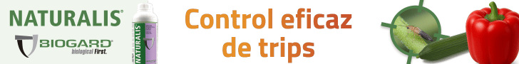 Publicidad