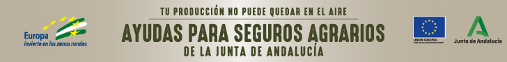 Publicidad