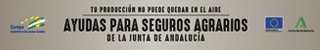Publicidad