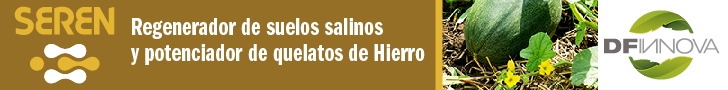 Publicidad