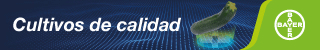 Publicidad