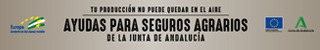 Publicidad